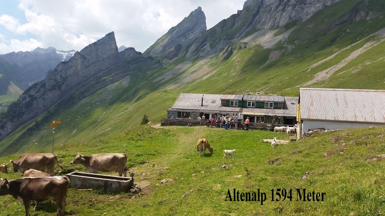2018-07-15_Alpsteintrekking-086.jpg